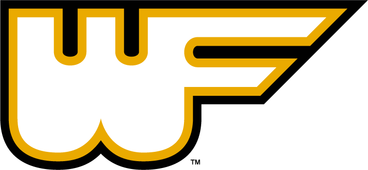 Wake Forest Demon Deacons 1977-1985 Alternate Logo diy iron on heat transfer